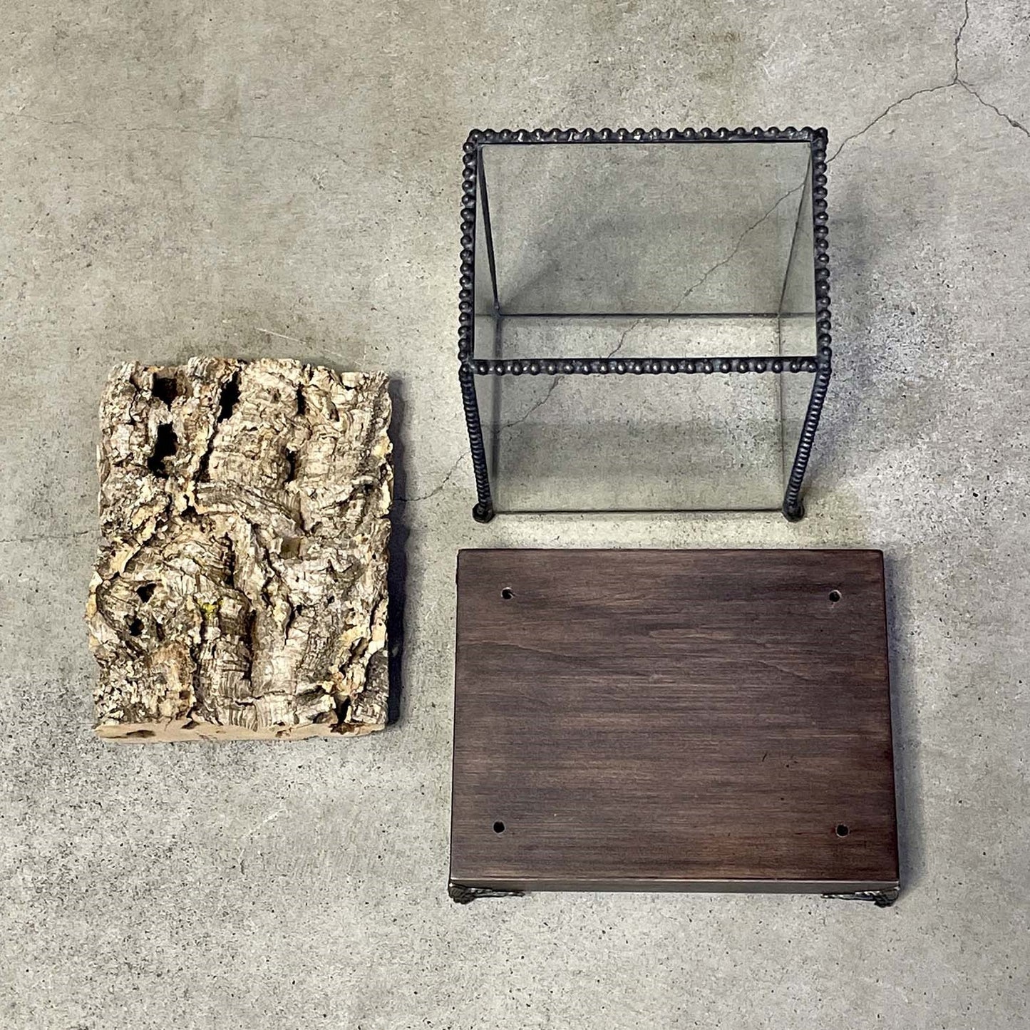 標本/コレクションガラスケース002 (Stand A)