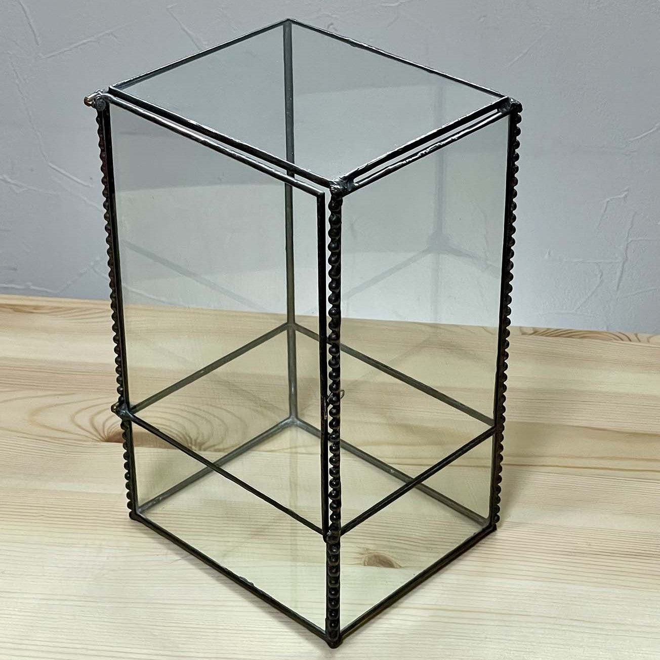 テラリウム用ガラスケース02