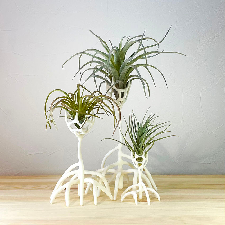 plants base hirugi004(3Dプリントプランツベースセット) 白